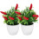 2 Unidades Árvore Artificial De Pimenta Bonsai Decoração 4