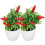 2 Unidades Árvore Artificial De Pimenta Bonsai Decoração 8