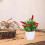 2 Unidades Árvore Artificial De Pimenta Bonsai Decoração 11
