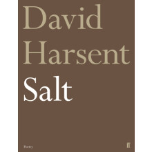 Salt by David Harsent Paperback Book