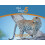 Leopard by Megan Emmett Paperback Book 1