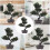 con vaso e fiori , albero pino artificiale verde 11