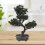 con vaso e fiori , albero pino artificiale verde 9