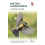 British Birds 1