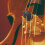 Raindrops 8 Stuck Geigenstummer Dämpfer Für Übungshilfe 10