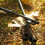 Outdoor Camping Heringe Gusseisen 11
