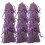 12 de lavanda para armarios, roperos y cajones 11