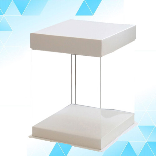 Clear Gable Cake Box Aus Kunststoff 1 1