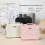 Professional Makeup Case With Adjustable LED Rings-Pink 6