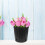 5 Kunststoff Blumentöpfe Für Garten 2 4