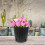 5 Kunststoff Blumentöpfe Für Garten 2 6