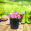 5 Kunststoff Blumentöpfe Für Garten 2 5