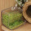 Automatic Bird Feeder Automatic Feeder Parrots 1 Set 6