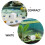 10 cubos reptiles, bloques calcio 7