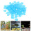 900 Pcs Aquarium Glowing Luminous Stones 11