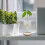 Avocado Seed Starter Rack Metal Bracket Bottle Holder 5