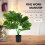 Simulazione In Vaso Bonsai Per Giardino E Arredamento Interni 11