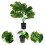 Simulazione In Vaso Bonsai Per Giardino E Arredamento Interni 6