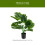 Simulazione In Vaso Bonsai Per Giardino E Arredamento Interni 2