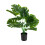 Simulazione In Vaso Bonsai Per Giardino E Arredamento Interni 3