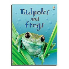 Tadpoles and Frogs by Anna Milbourne Hardcover Book