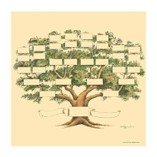 Stammbaumdiagramm, 6 Generationen,