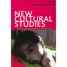 New Cultural Studies Paperback Book