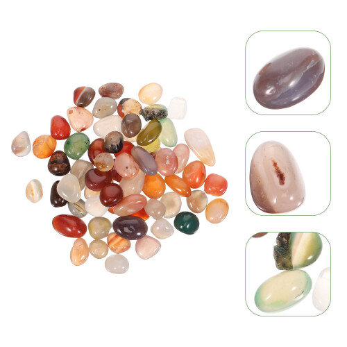 1 Pack Plants Pot Garden Fish Tank Pebbles 1
