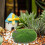 Artificiale Decorativo Per E Arredamento 3