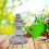 Pietra Per Giardino Decorazione Paesaggistica Da 8
