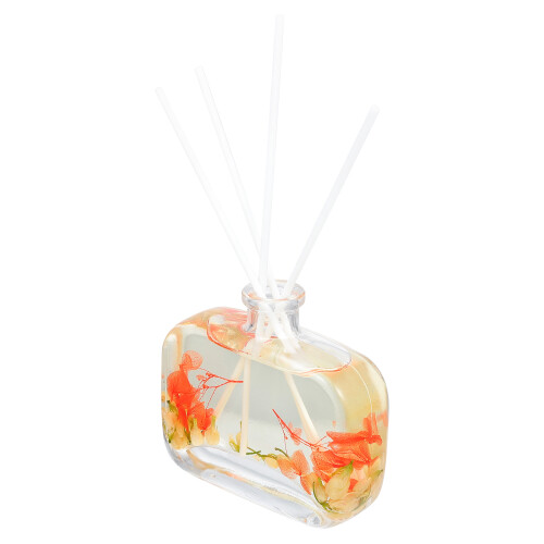Set Diffusore Per Oli Con Fiori Secchi 2