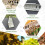 Réducteurs d'entrée de ruches d'abeilles réglables en acier 4