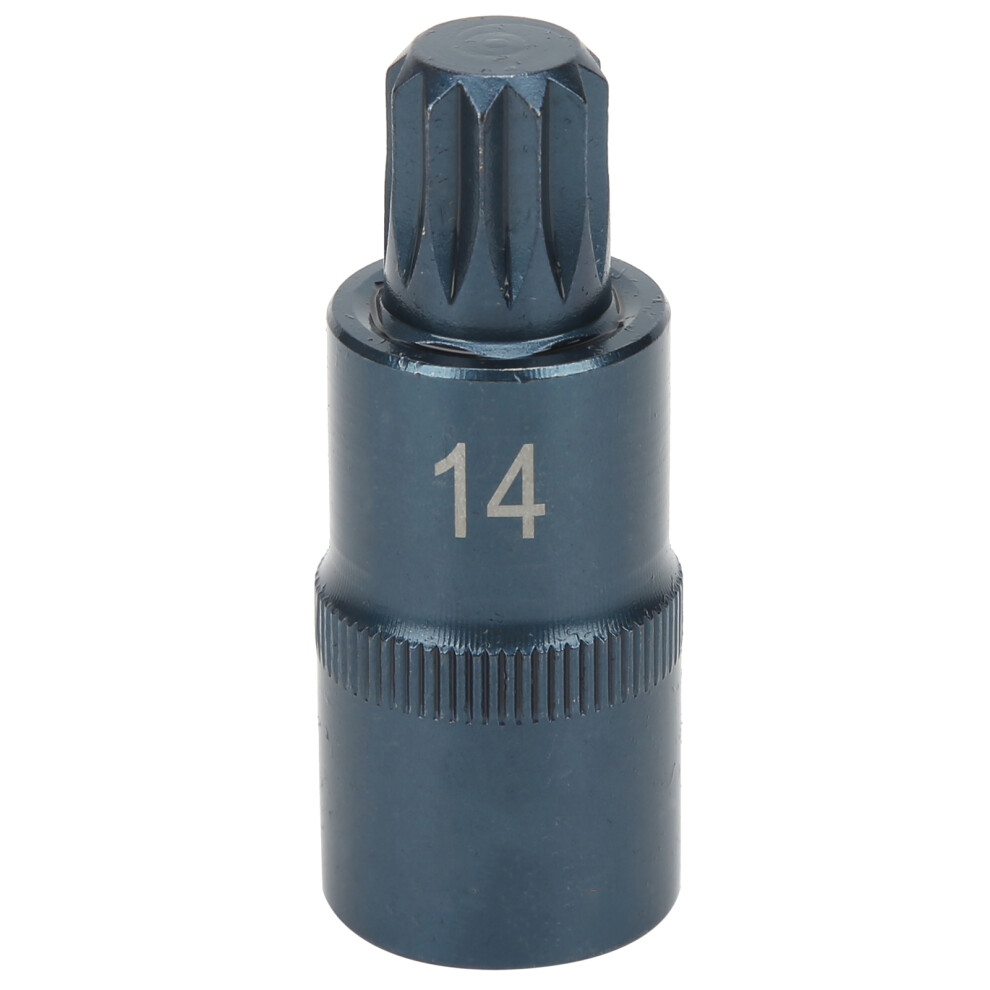 12-Point Screwdriver Bit 1/2In Square Socket Alloy Steel 610830894146