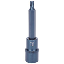 Sternsteckbit S2-Stahl Rostfrei Blau 100xT40