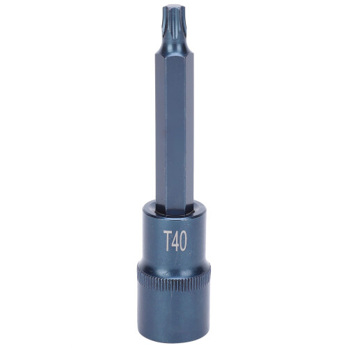 Sternsteckbit S2-Stahl Rostfrei Blau 100xT40
