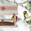 Vogelhäuschen aus Naturholz 5