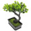 4 Unidades De Bonsai De Artificial Decoração 3