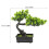 4 Unidades De Bonsai De Artificial Decoração 11