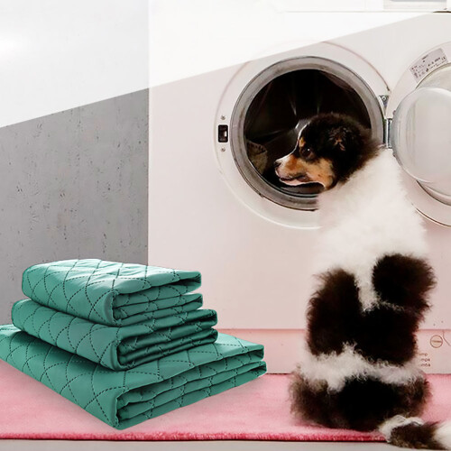 Tappetino Addestramento Lavabile Waterproof Per 2