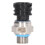 Motoröl-Drucksensor 4-Pin 21634021 für PENTA D12/D13 1