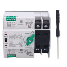 Doppelstrom-Automatikumschalter 125A 2P für PV-Generator