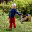 Rake De Folhas E Grama De Aço Para De 11