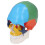 Life Size 3 Part Colored Detachable Human Skull Anatomical Model 4