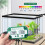 6-in-1 WiFi Wasserqualitätsmesser PH/TDS/EC/Aquarium 2