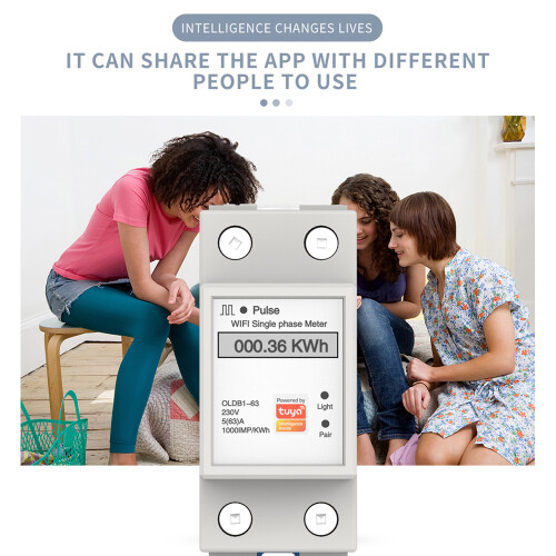 Tuya WiFi Smart-Energiemessgerät Single-Phase APP 1