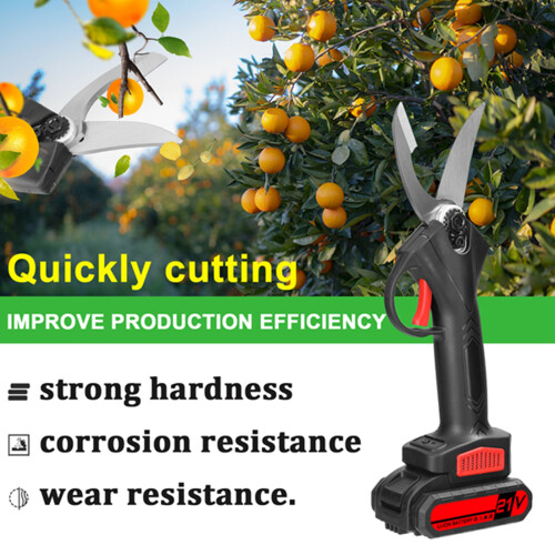 21V Akku-Säge bürstenlos 40mm für Knochen & Fleisch 2