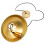 Gouden Hanglamp Met Industrieel Design Voor 10