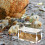 Rutin Distributeur Pour Poulets Alimentaire Cage Animaux 9