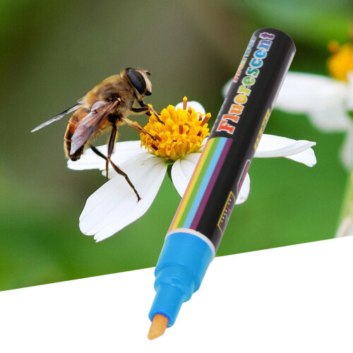 Bienenkönigin-Markierungsstift 8-farbig Blau 1