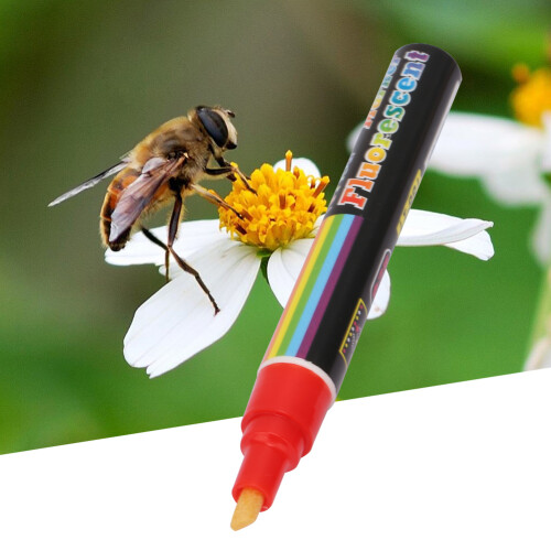 Bienenkönigin-Markierungsstift 8-farbig Rot 1